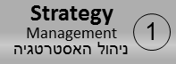 תהליך ניהול אסטרטגיית שירותי מערכות המידע – Strategy management for IT Services